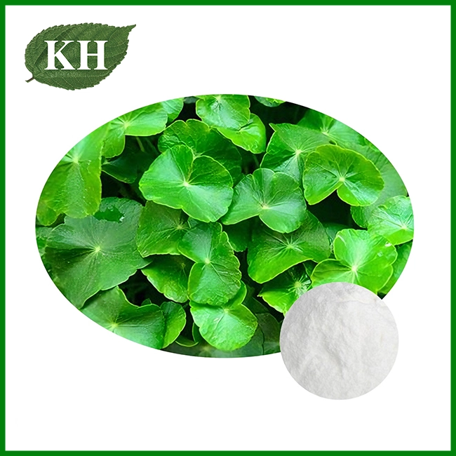 Gotu Kola Extract Powder